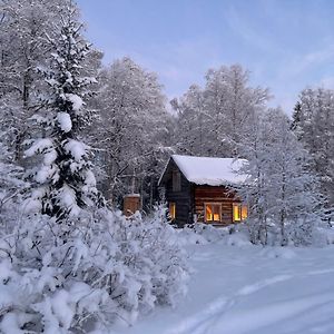 فيلا Gemuetliche Blockhuette Mit Aussentoilette Und Badezimmer Im Haupthaus Jorn Exterior photo