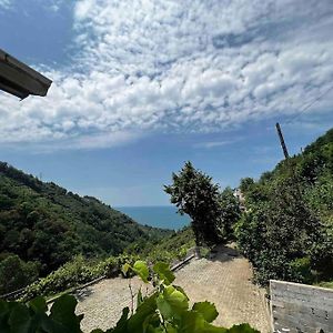 فيلا Carsibasiفي Vila Sahra vi Trabzon Exterior photo