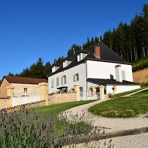 فندق Le Domaine De La Source Chauffailles Exterior photo