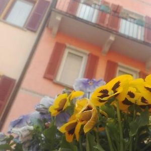 فيلا Granciaفي Fairy Housing Unit At 10 Minutes Drive From Lugano Exterior photo