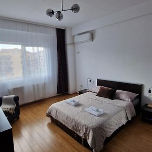 Roşu Cosy Spacious Apartment With Parking, Wi-Fi, Smart-Tv Netflix Exterior photo