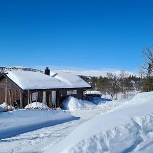 فيلا Hytte I Naturskjonne Javnlie Skammestein Exterior photo