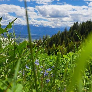 شقة Gerlitzen Berg- Und Seenurlaub Deutschberg Exterior photo