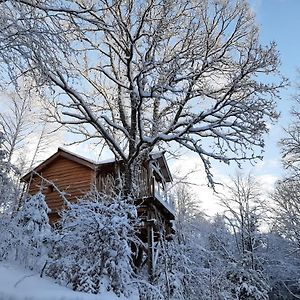 Bonlieu Cabanes Du Herisson, Cabanes Perchees De Standing Avec Spa Exterior photo