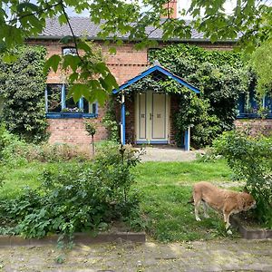 فيلا Ferienhaus Im Spreewald Markische Heide Exterior photo