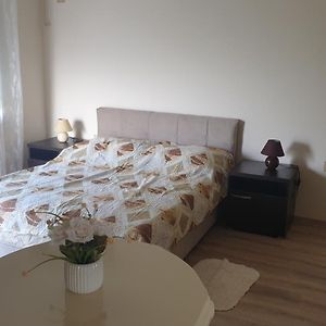 نوفي ساد Apartments Kamenjar Room photo