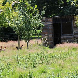 فيلا Ecogite Rural La Cle Des Champs Peyrelongue-Abos Room photo