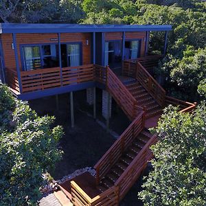 Treetop Guesthouse بورت اليزابيث Exterior photo