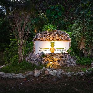 الشقق الفندقية جوفرنرز هاربورفي  Pineapple Fields Exterior photo