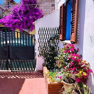 فيلا Nel Cortile Della Casa Di Carta, Due Singole Unita Torpè Exterior photo