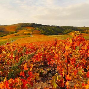 فيلا Le Panoramic Chiroubles Beaujolais Exterior photo