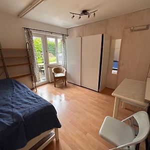 2 Zimmer Apartment Mit Kuche Und Bad زيورخ Exterior photo