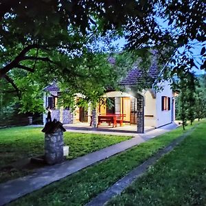 فيلا Gorska Vila Sisevac Exterior photo