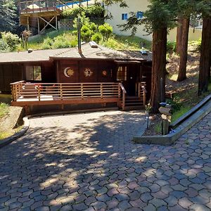 فيلا Redwood Retreat Walk To Downtown Mt Tam Muir Woods وادي ميل Exterior photo