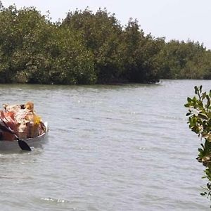 مبيت وإفطار Sanyang Mangrove Beach Exterior photo