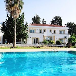 Tropical Cyprus Villa With Swimming Pool كيرينيا Exterior photo