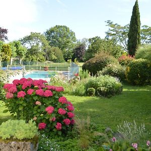 فندق Cinegite Du Jardin Aux Etoiles - Proche De Saint Emilion Exterior photo