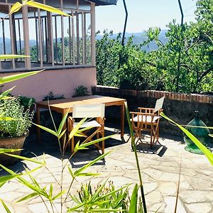 Groppo  Artists' Holiday Home Near Cinque Terre - 4 Bedrooms, Large Terrace, Great Views Exterior photo