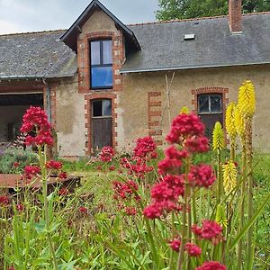 Ecolodges De Loire & Spa Gennes-Val-de-Loire Exterior photo