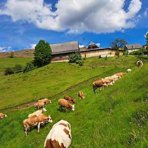 شقة Bio-Peisingerhof Sankt Stefan ob Leoben Exterior photo