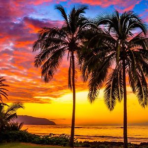 هاليوا Charming Beach Apartment Your Hawaiian Getaway Exterior photo