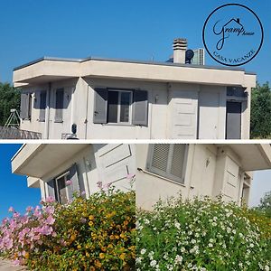 شقة Gramp House Casa Vacanze Cellole Exterior photo