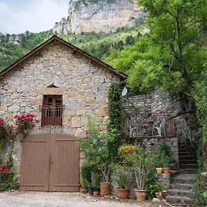 Gite La Grange, Gites De France 2/4 Personnes A La Caze Saint-Pierre-des-Tripiers Exterior photo