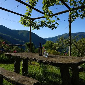 شقة Wild Valley Garden Paradise In Valle Onsernone Auressio Exterior photo