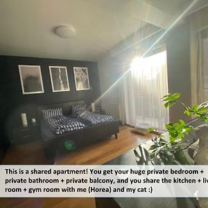 Funkadelic Retreat Transylvania, Private Room&Bath In Shared Apartment With Host&Cat كلوج-نابوكا Exterior photo