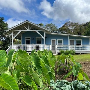 فيلا Newly Renovated Farmhouse In Kealakekua Exterior photo