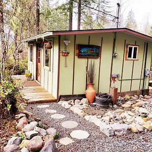 فيلا Mt Rainier Little Green Cabin On Big Creek! أشفورد Exterior photo