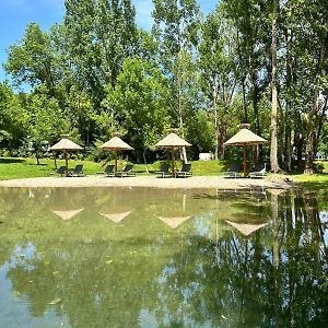 فندق Les Terrasses Du Durzon Nant Exterior photo