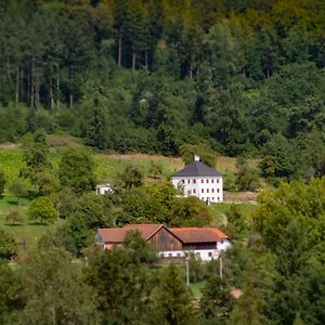 فيلا Trattnachtaler Weinhaus Schlusslberg Exterior photo