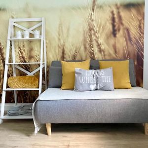 شقة Fewo Studio 'Ein Bett Im Kornfeld', Kueche, 30Qm, Souterrain ويلفر Exterior photo