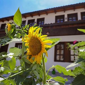 فندق The House Of Dollma , Inside Kruja Castle Exterior photo