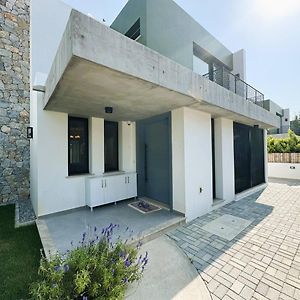 Zeytinlik Villa كيرينيا Exterior photo