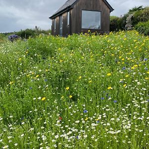 Elfin Cottage بورتري Exterior photo