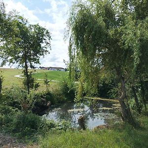 شقة Wohnen Im Gruenen Pregarten Exterior photo