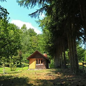 فيلا Planinska Kuca Palacinka ديسبوتوفاتس Exterior photo