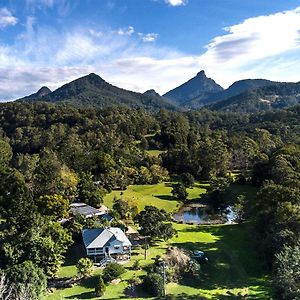 Uki Mavis'S Cabins @ Mt Warning Exterior photo