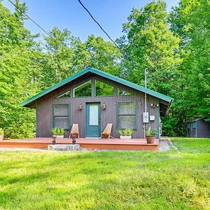 فيلا Bright Center Conway Cabin Less Than Half Mi To Conway Lake Exterior photo