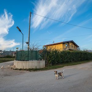 مبيت وإفطار إيسيرنيا Roberta House Exterior photo