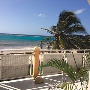 شقة Studio Charmant Avec Vue Sur La Mer A Capesterre De Marie Galante 20 M² Exterior photo