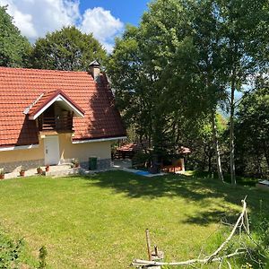 فيلا Mountain Vila In Ponikva Kočani Exterior photo