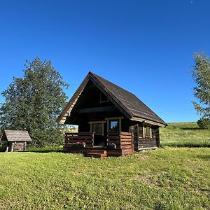 فيلا Lakeside Cabin With Saunas, Hot-Tub Options Antsla Exterior photo