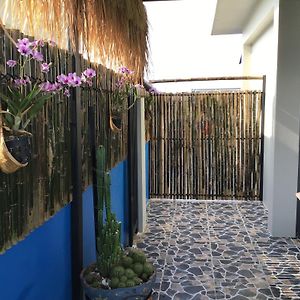 الشقق الفندقية خاو تاوفي  Turtle Nest Exterior photo