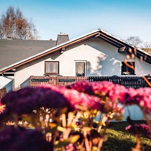 فيلا Neu Ferienhaus Paditz Mit Pool Oberscheibe Exterior photo