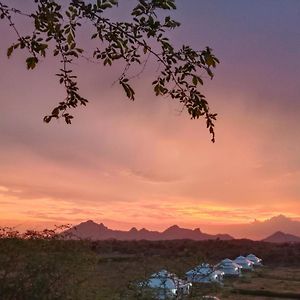 فندق The Bagheera Bagh Jawai Bera Exterior photo