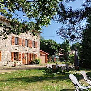 فيلا Paradis Auvergnat: Gite Tout Confort, Nature, Randos, Equipements Sportifs Et Accueil Chaleureux - Fr-1-582-346 Craponne-sur-Arzon Exterior photo