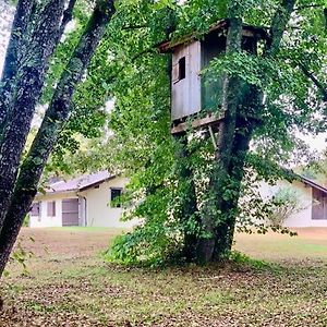 فيلا Le Refuge Des Bois Villandraut Exterior photo